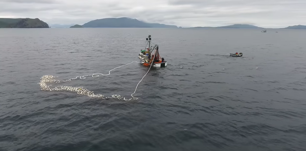 South Alaska Peninsula Commercial Fishermen Hurting from Low Salmon Runs, ADF&G Cuts